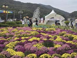 포천시, 제27회 포천 산정호수 명성산 억새꽃 축제 성료 기사 이미지