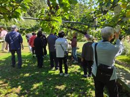남양주시, 치매환자와 가족이 함께 참여하는 치유농업 프로그램 운영 성료 기사 이미지