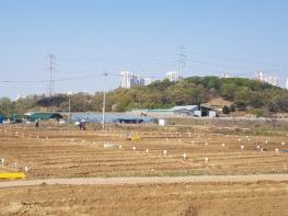 남양주시, ‘2026년 정약용 도시텃밭’분양…도심 속 치유 공간 마련 기사 이미지