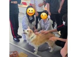구리시 반려돌봄센터, 삼육고 학생 대상 생명윤리·동물보호 교육 실시 기사 이미지