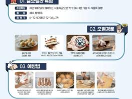 가평군, 8월 살모넬라 식중독 예방수칙 집중 홍보 기사 이미지